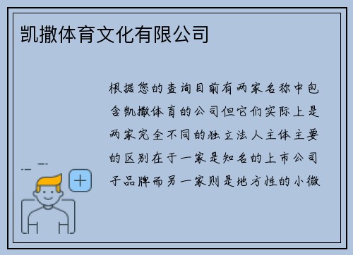 凯撒体育文化有限公司